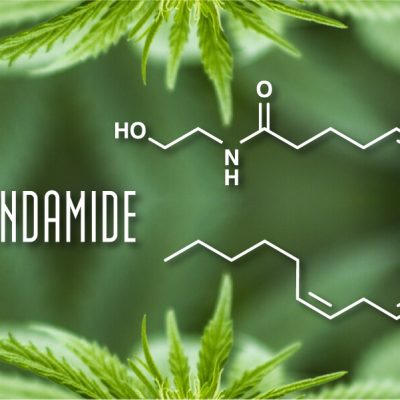 Anandamide