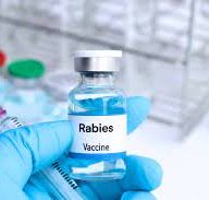 Rabies vaccine
